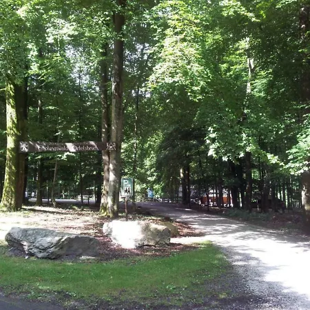 Apartamento Hochwaldblick *