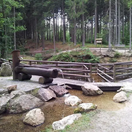 Hochwaldblick *